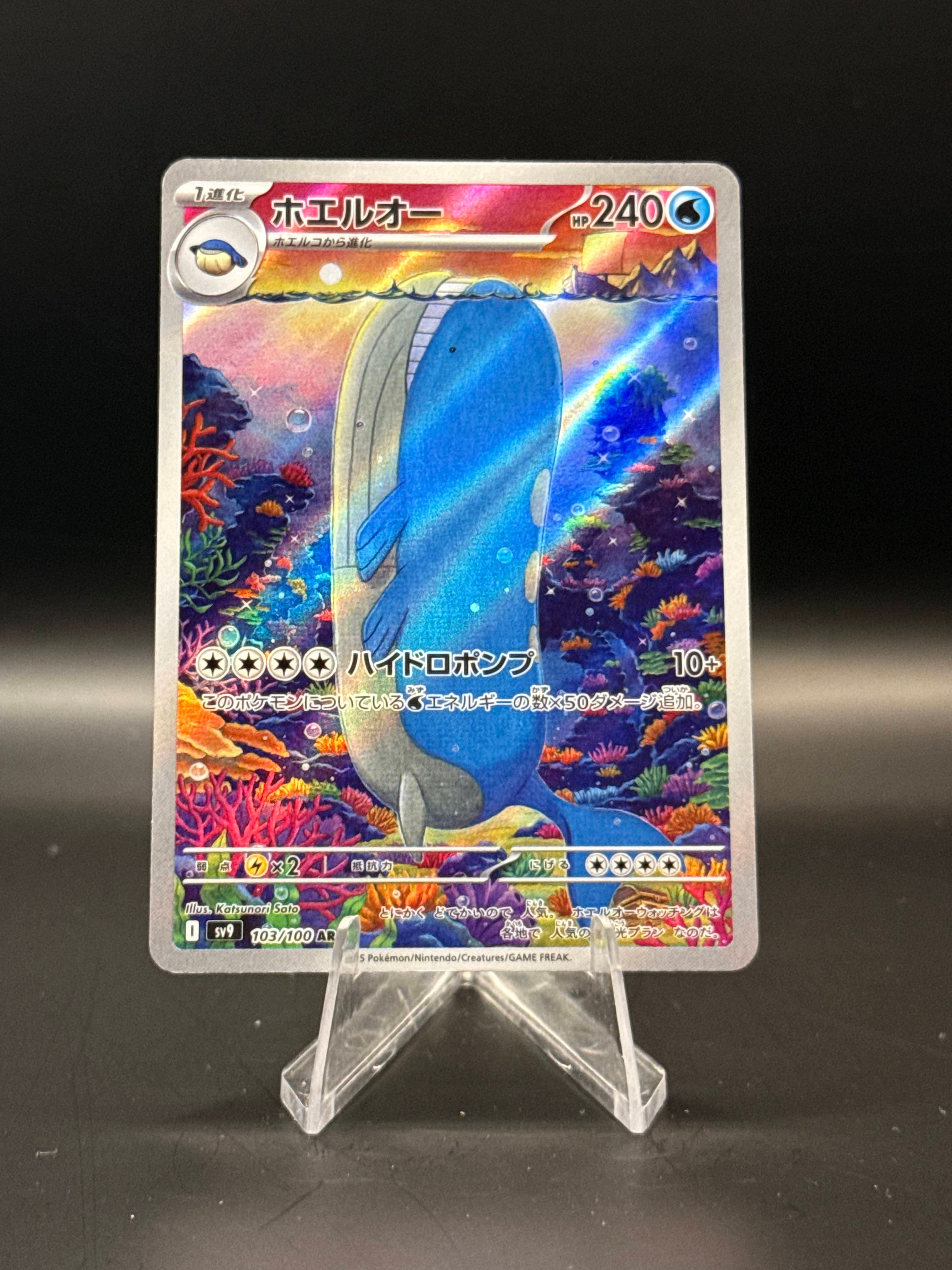 Wailord AR
